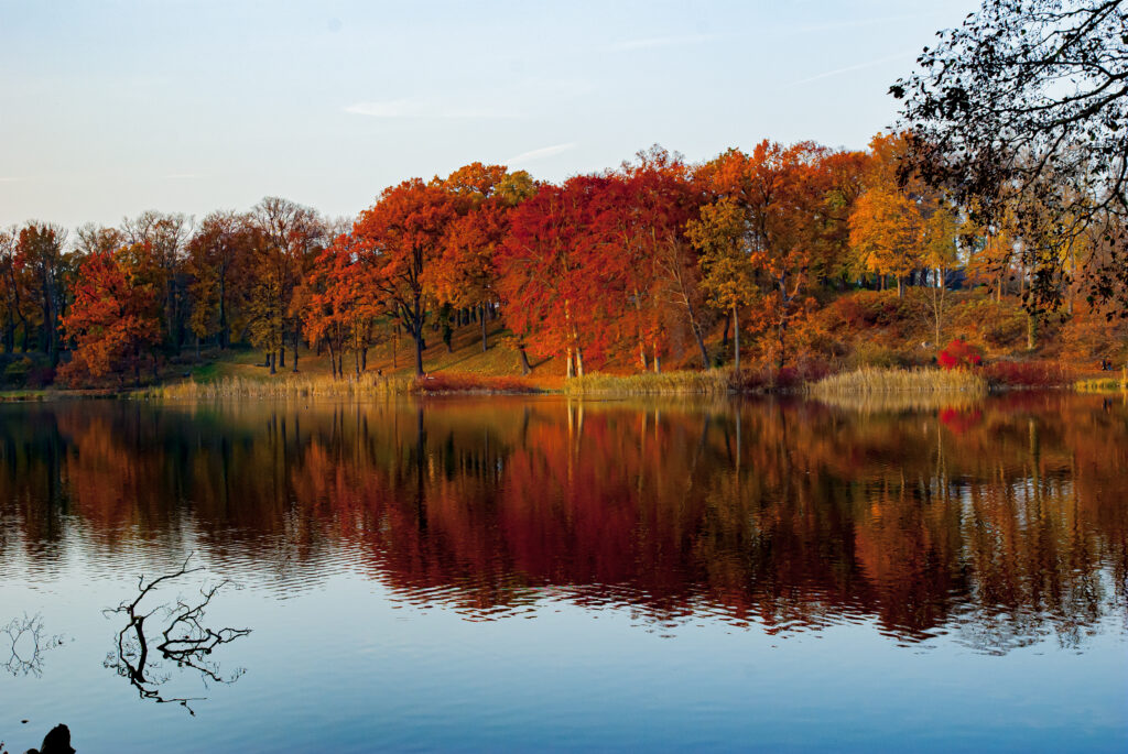 Das Wasser vom Haussee spiegelt die herbstlich gefärbten Bäume des anderen Ufers wider.