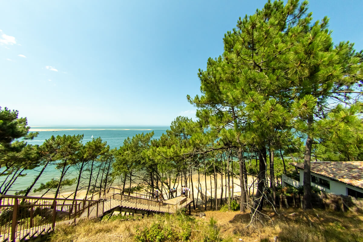 Die hohen Dünen sind mit Bäumen und Gräsern bewachsen. Eine lange Treppe führt zum Strand.