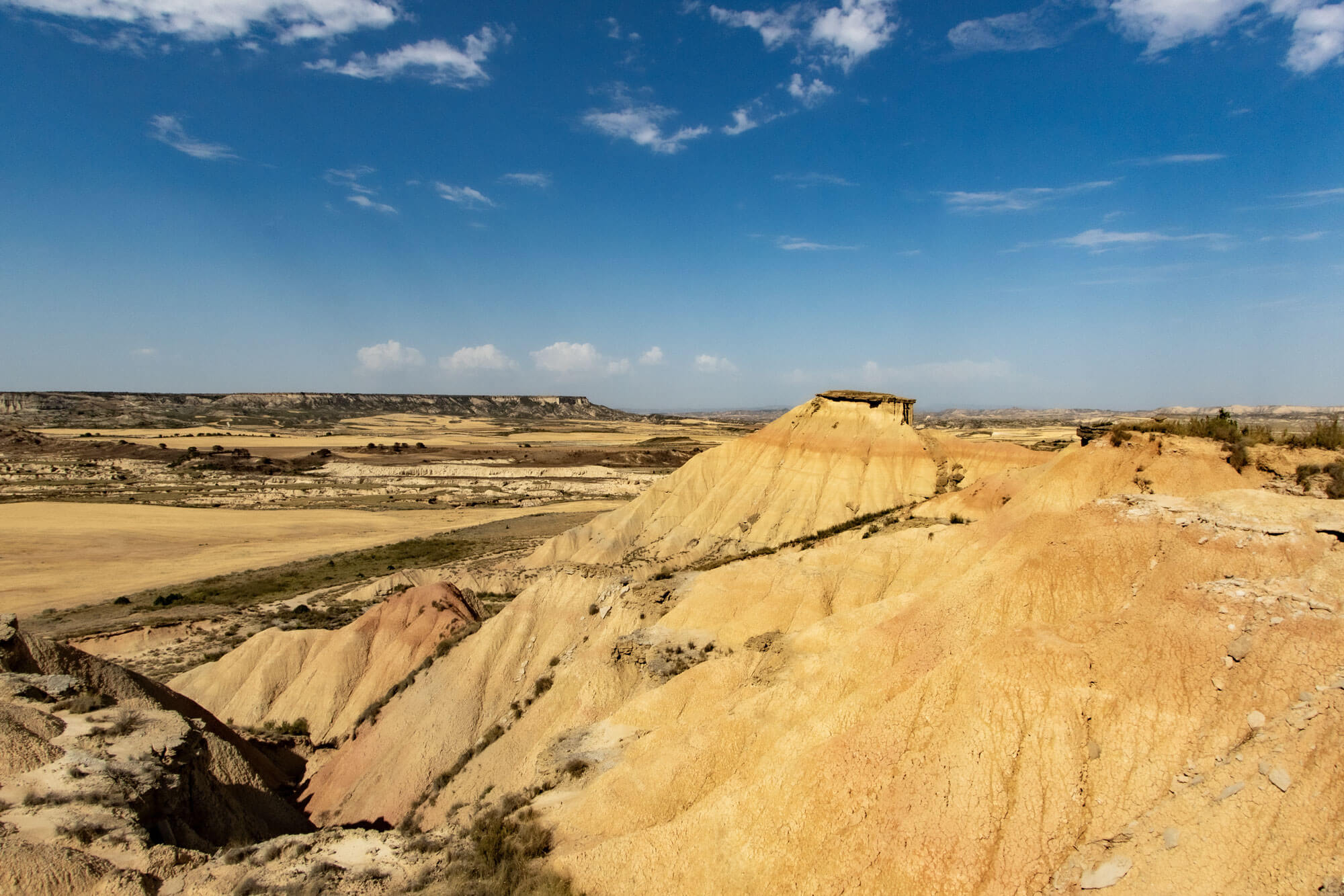 Von einer Anhöhe in der Halbwüste aus erblickt man die weite zerklüftete Landschaft. Sandsteinformationen und trockene Pflanzen.