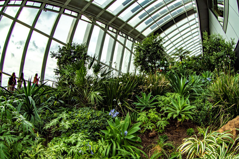 Ein botanischer Garten mit einem riesigen Gewächshaus über der City of London - dem Sky Garden.