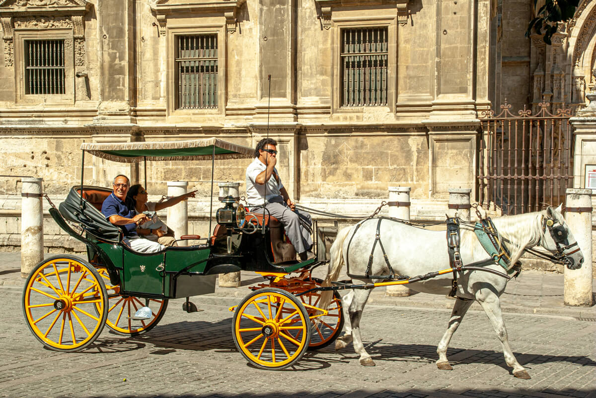Eine offene Pferdekutsche vor der Kathedrale von Sevilla