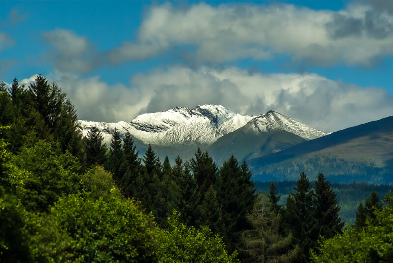 Der umliegende Wald um Trebesing und den dahinter aufragenden Bergen, die selbsz im Sommer mit Schnee bedeckt sind.