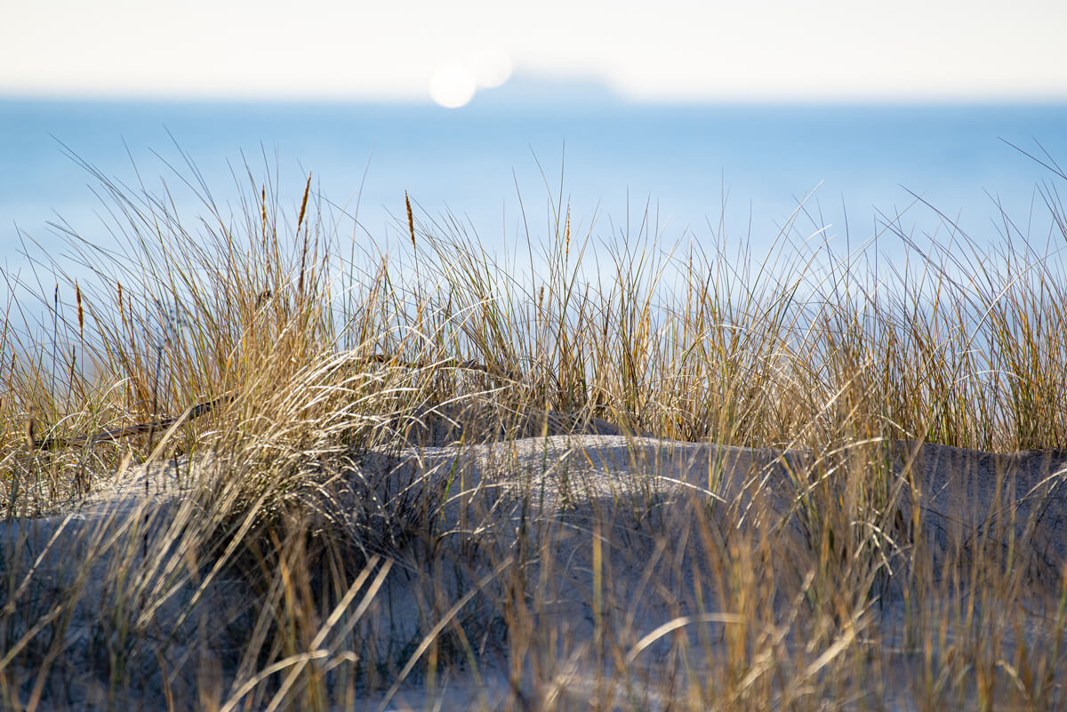 Graal-Müritz Sanddüne